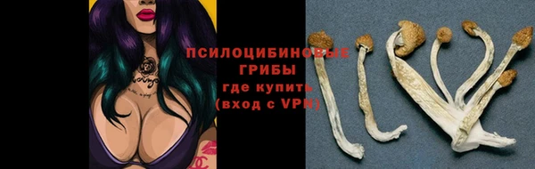 круглые Алзамай