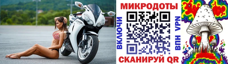 цены Новошахтинск Галлюциногенные грибы Psilocybe