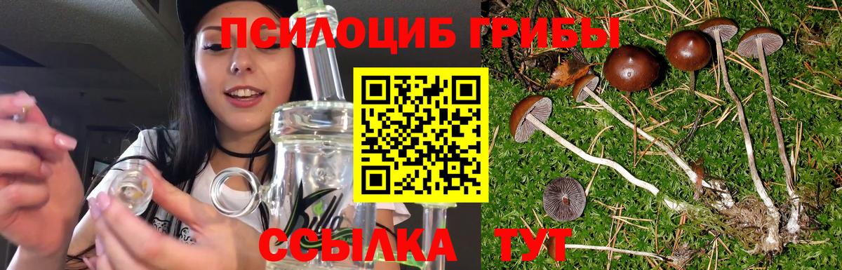 Галлюциногенные грибы мицелий  Вход с VPN  Новошахтинск 