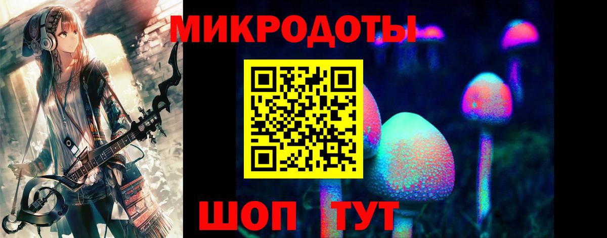 Галлюциногенные грибы прущие грибы Новошахтинск