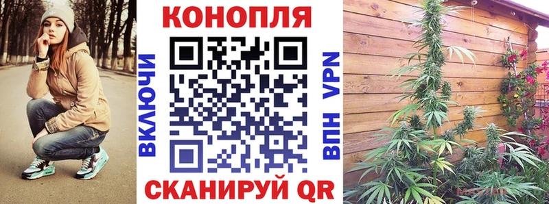 блэк спрут ссылки  Новошахтинск  Каннабис OG Kush 